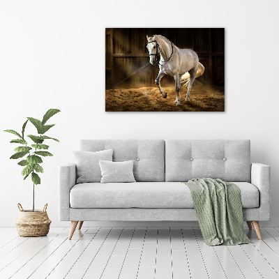 Foto auf Acryl Weißes Pferd im Stall