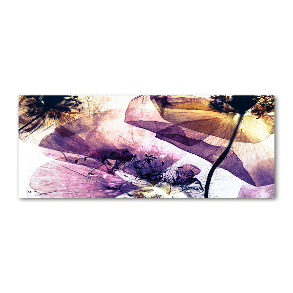 Bild auf Acrylglas Getrocknete Mohnblumen