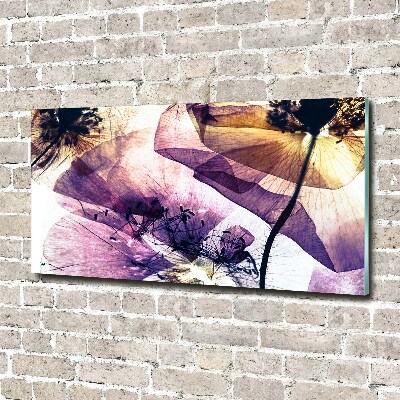 Bild auf Acrylglas Getrocknete Mohnblumen