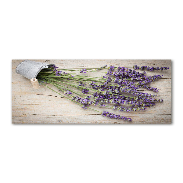 Acrylbild Fotodruck Lavendel im Topf