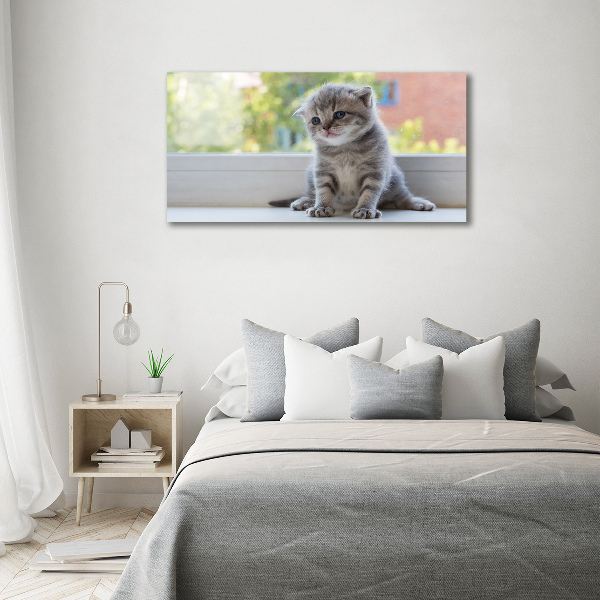 Acrylbild Fotodruck Eine kleine Katze am Fenster