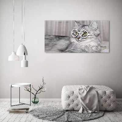 Bild auf Acrylglas Katze mit Brille