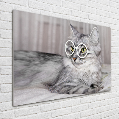 Bild auf Acrylglas Katze mit Brille
