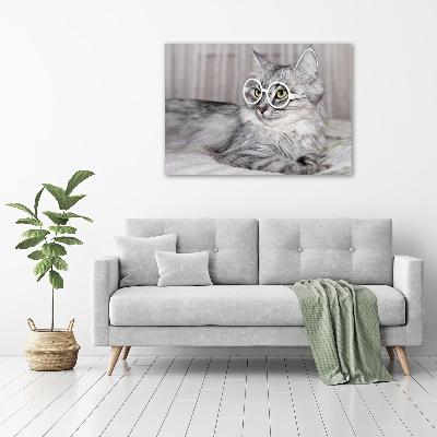 Bild auf Acrylglas Katze mit Brille