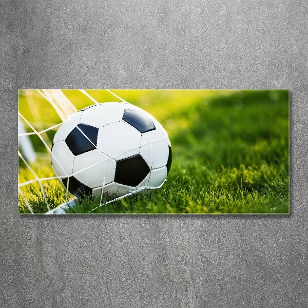 Acrylglas-Druck Der Ball ist im Tor