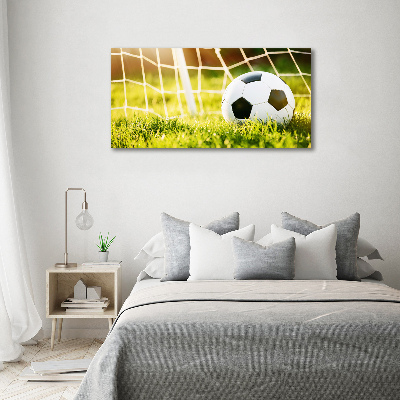 Foto auf Acryl Der Ball ist im Tor