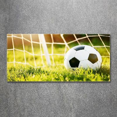 Foto auf Acryl Der Ball ist im Tor