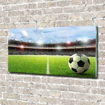 Bild auf Acrylglas Der Ball auf dem Spielfeld