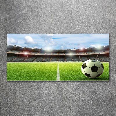 Bild auf Acrylglas Der Ball auf dem Spielfeld