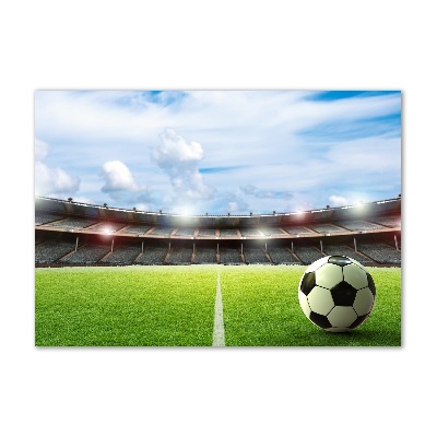 Bild auf Acrylglas Der Ball auf dem Spielfeld