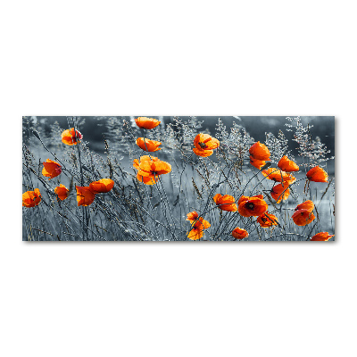 Acrylbild Fotodruck Feldmohn