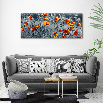 Acrylbild Fotodruck Feldmohn