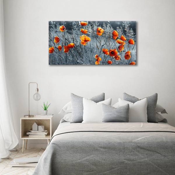 Acrylbild Fotodruck Feldmohn