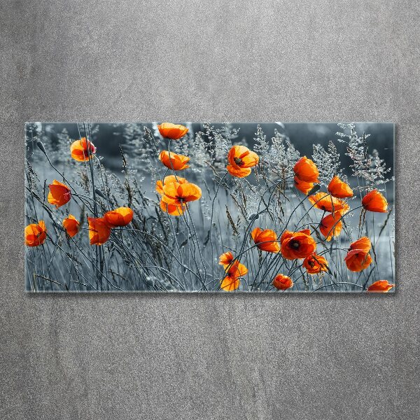 Acrylbild Fotodruck Feldmohn