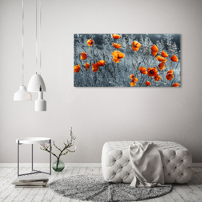 Acrylbild Fotodruck Feldmohn
