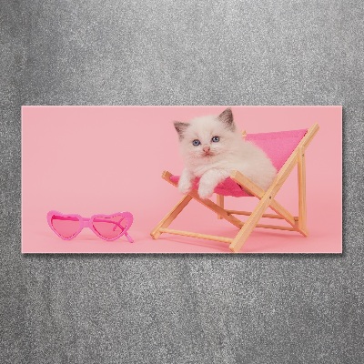 Acrylglas-Druck Katze auf einem Liegestuhl