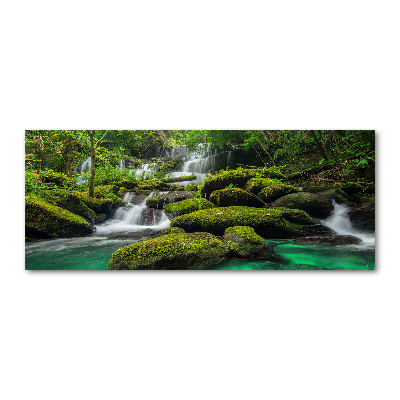 Foto auf Acryl Wasserfall im Wald