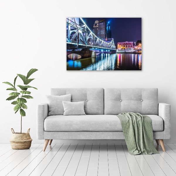 Bild auf Acrylglas Shanghai-Brücke