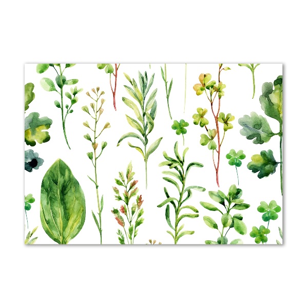 Acrylbild Fotodruck Kräuter und Unkräuter