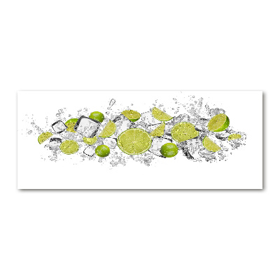 Acrylbild Fotodruck Limetten-Eiswürfel