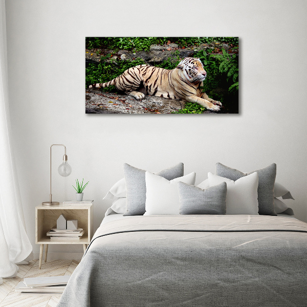 Acrylbild Fotodruck Tiger auf einem Felsen