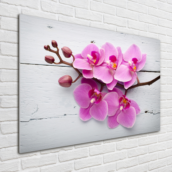Bild auf Acrylglas Orchidee auf Holz