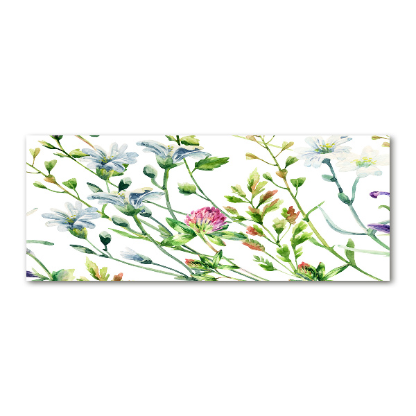 Acrylglas-Druck Wildblumen