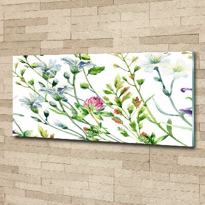 Acrylglas-Druck Wildblumen