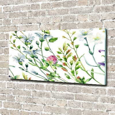 Acrylglas-Druck Wildblumen