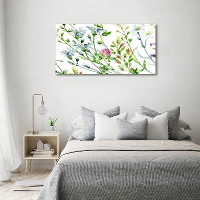 Acrylglas-Druck Wildblumen