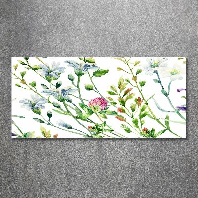 Acrylglas-Druck Wildblumen