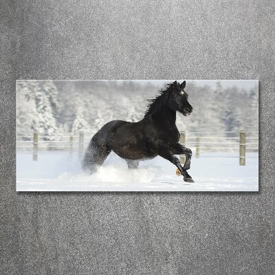 Bild auf Acrylglas Ein Pferd galoppiert im Schnee