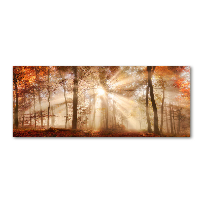 Acrylbild Fotodruck Nebel im Herbstwald