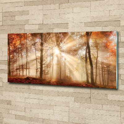 Acrylbild Fotodruck Nebel im Herbstwald