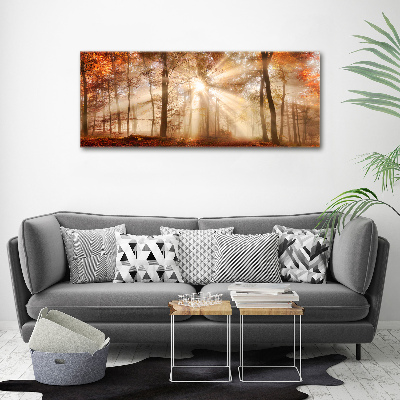 Acrylbild Fotodruck Nebel im Herbstwald