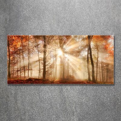 Acrylbild Fotodruck Nebel im Herbstwald