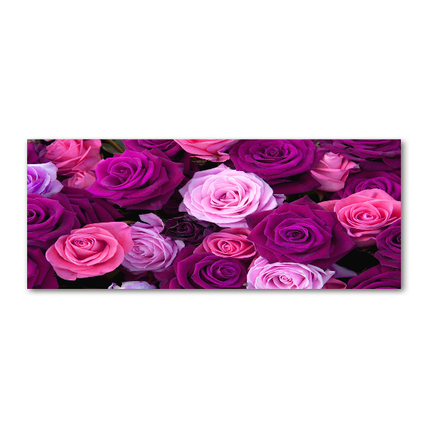 Acrylbild Fotodruck Rosen