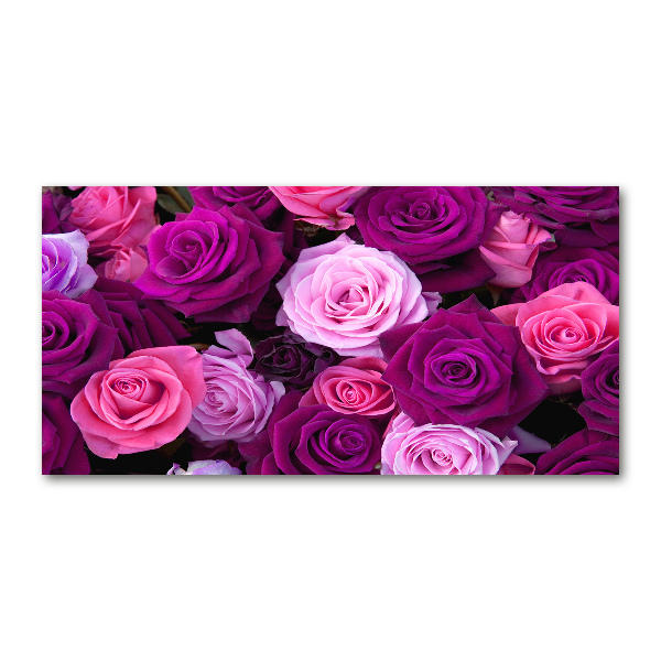 Acrylbild Fotodruck Rosen