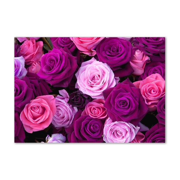 Acrylbild Fotodruck Rosen