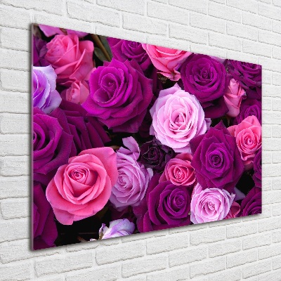 Acrylbild Fotodruck Rosen