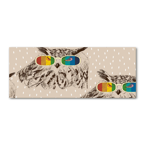 Acrylglas-Druck Eulen mit Brille