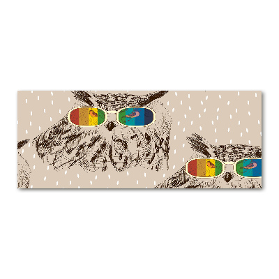 Acrylglas-Druck Eulen mit Brille