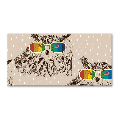 Acrylglas-Druck Eulen mit Brille