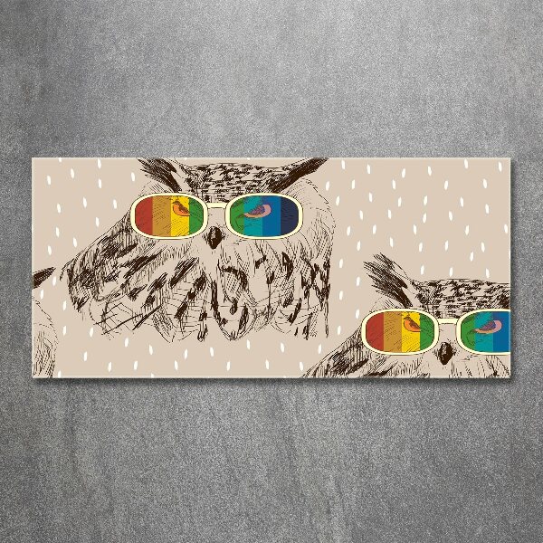 Acrylglas-Druck Eulen mit Brille