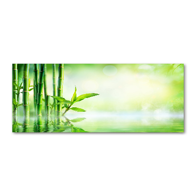 Acrylbild Fotodruck Bambus