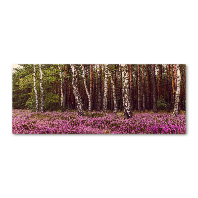 Acrylglas-Druck Moor