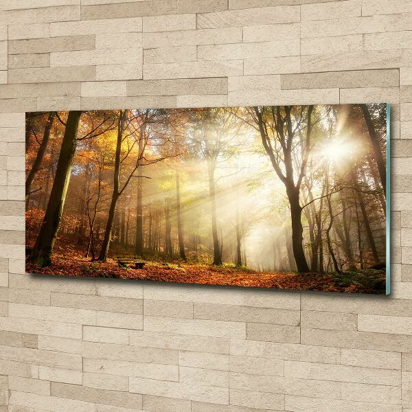 Foto auf Acryl Nebel im Wald