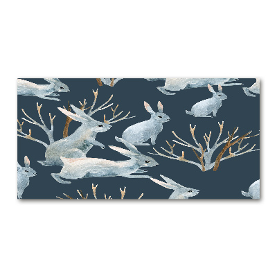 Foto auf Acryl Kaninchen im Winter