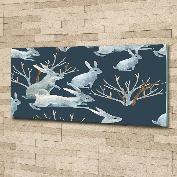 Foto auf Acryl Kaninchen im Winter