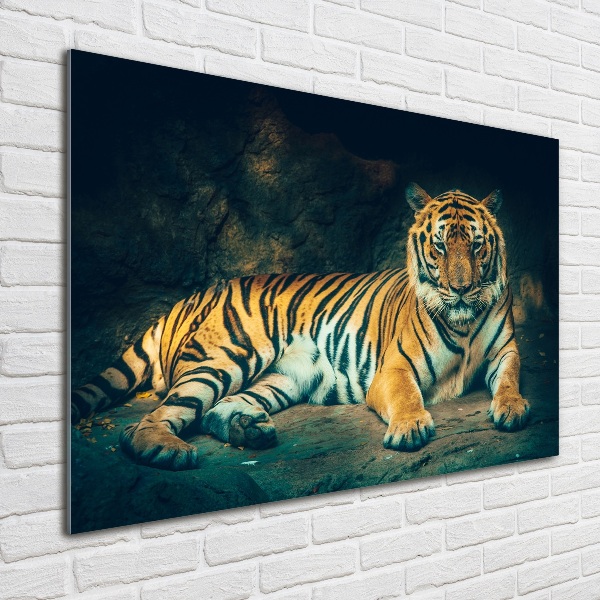 Bild auf Acrylglas Tiger in der Höhle